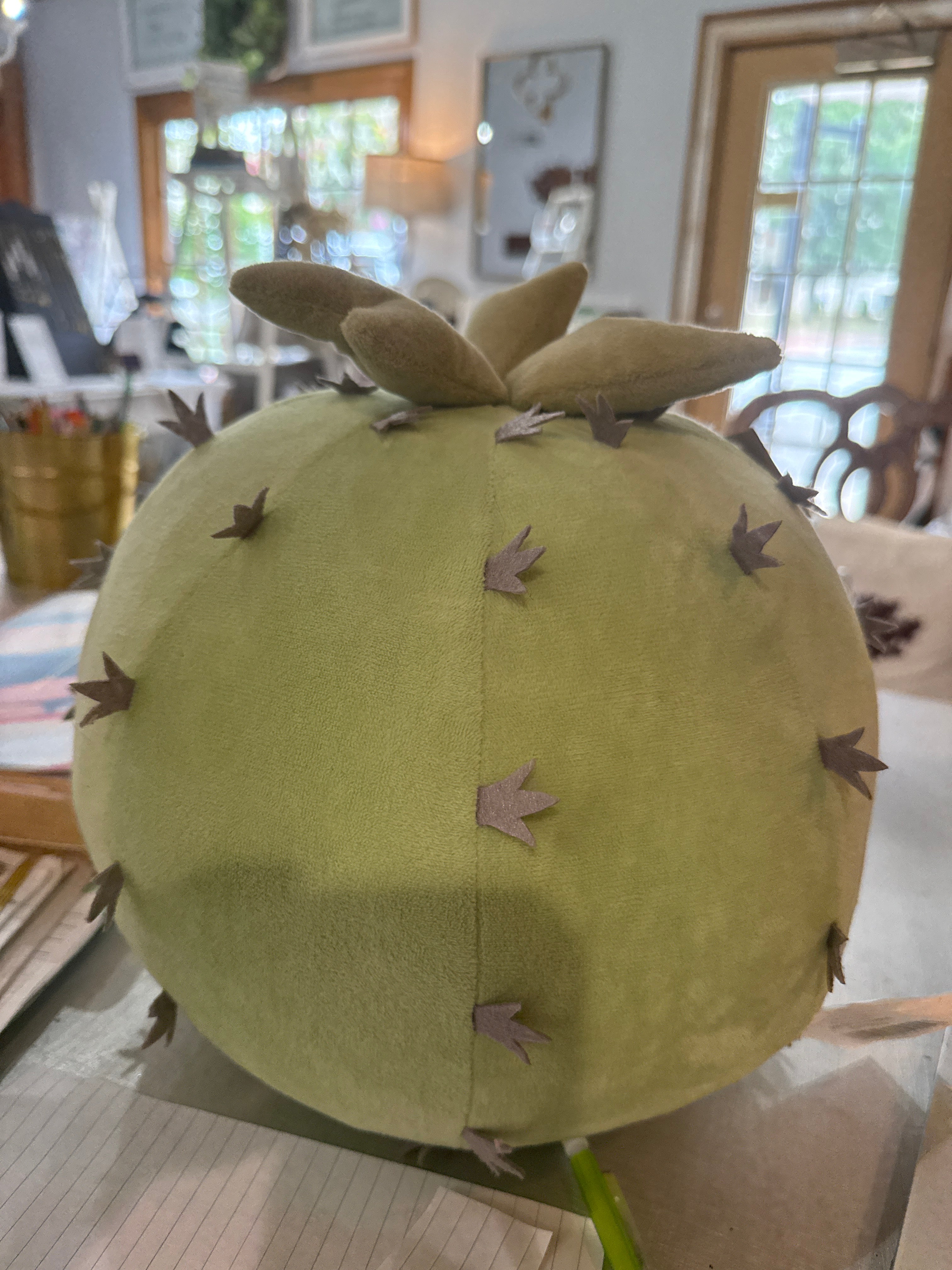 Succulent Pillow Cactus