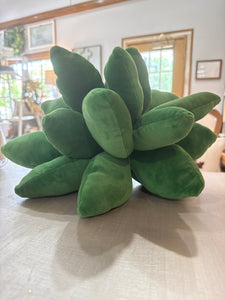 Succulent Pillow
