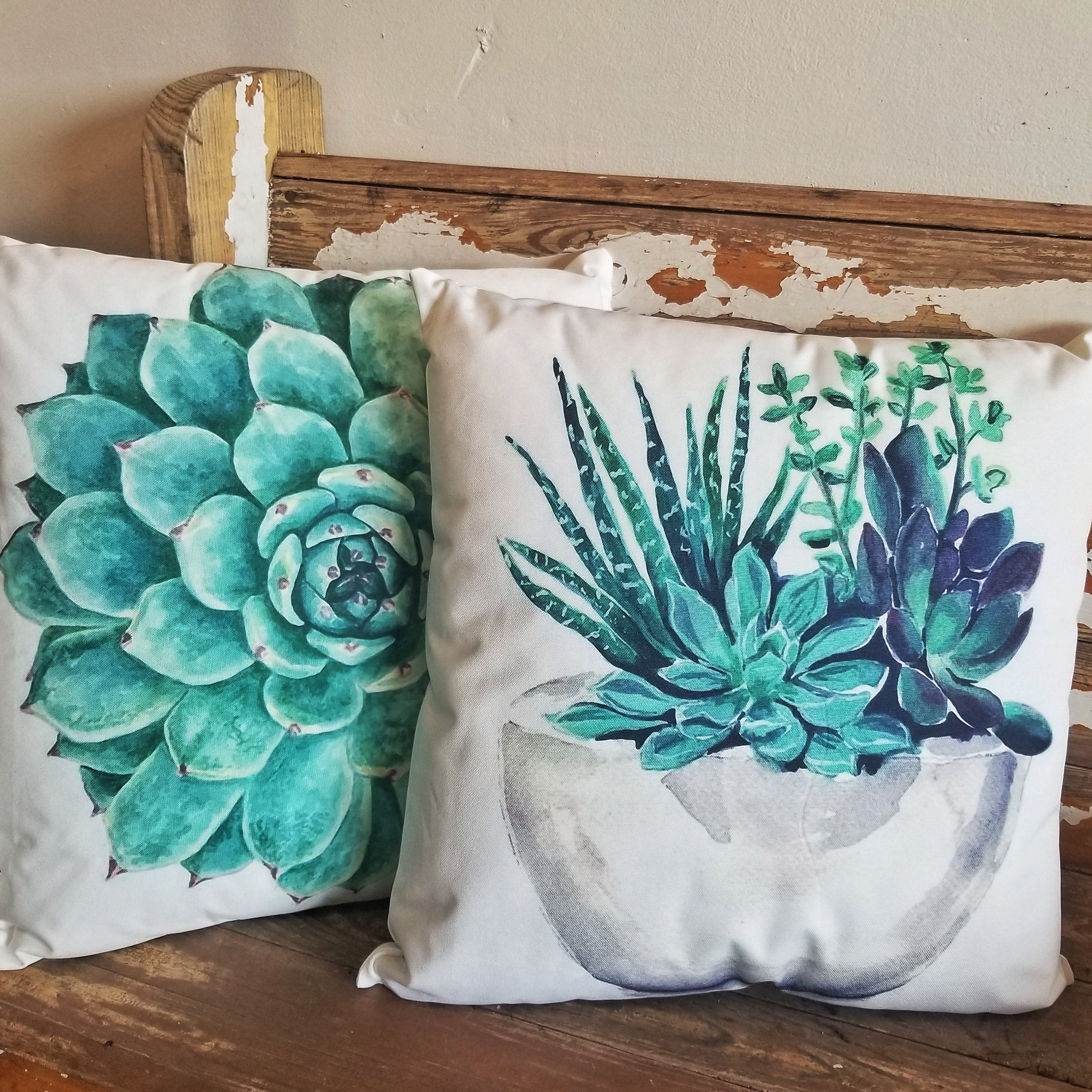 Potted Succulent Outdoor Pillow