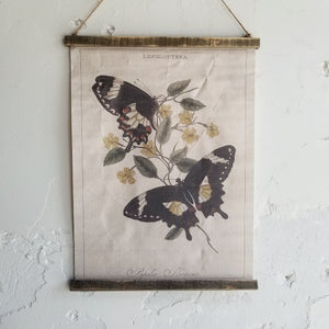 Butterfly Canvas - 3 Designs
