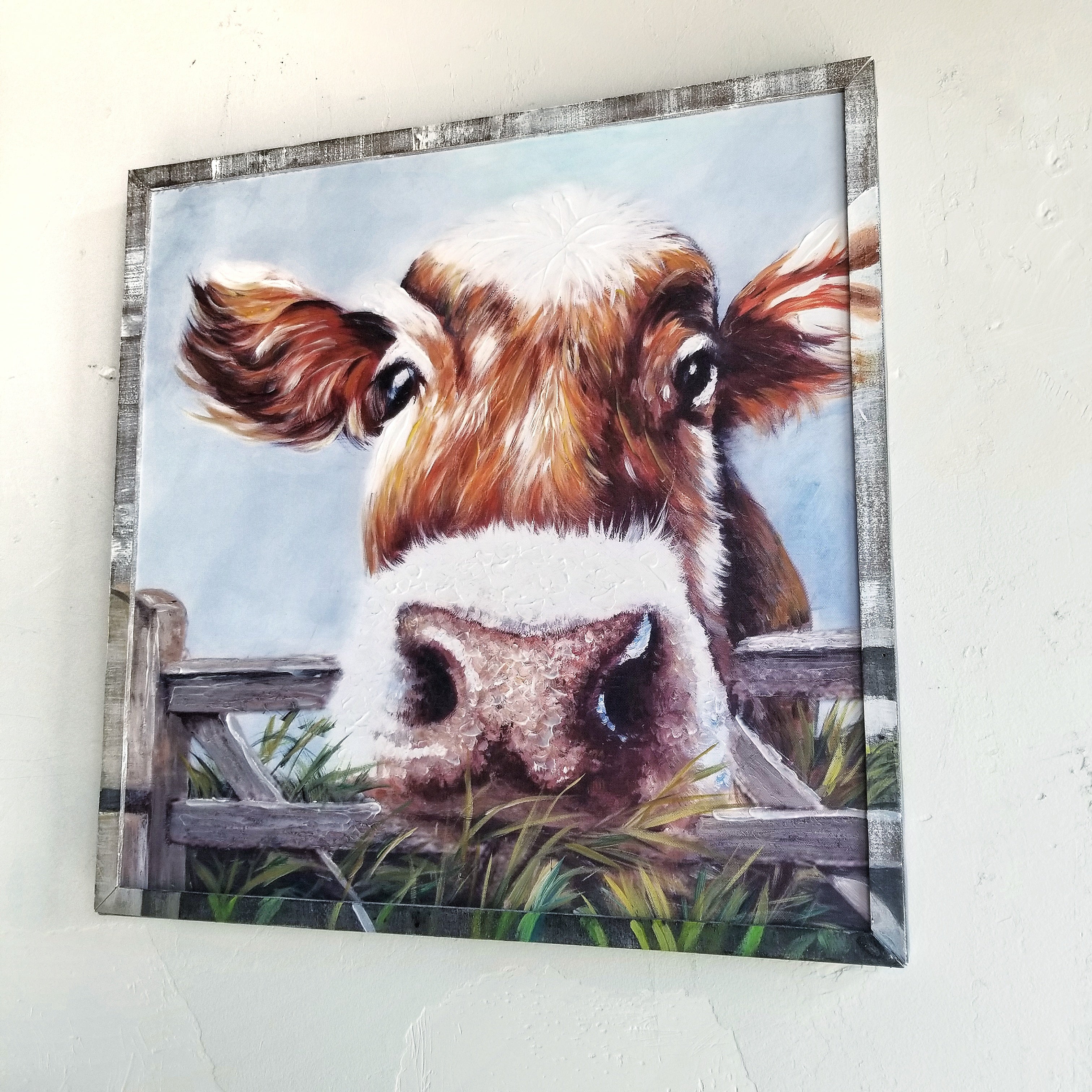 Curious Cow Canvas