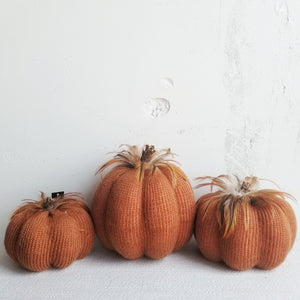 Knit Pumpkins with Feathers
