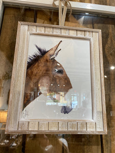 Dolly Estelle Framed Prints