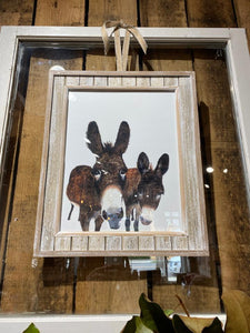 Dolly Estelle Framed Prints