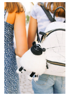 Itty Bitty Keychain