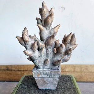 Resin Succulent