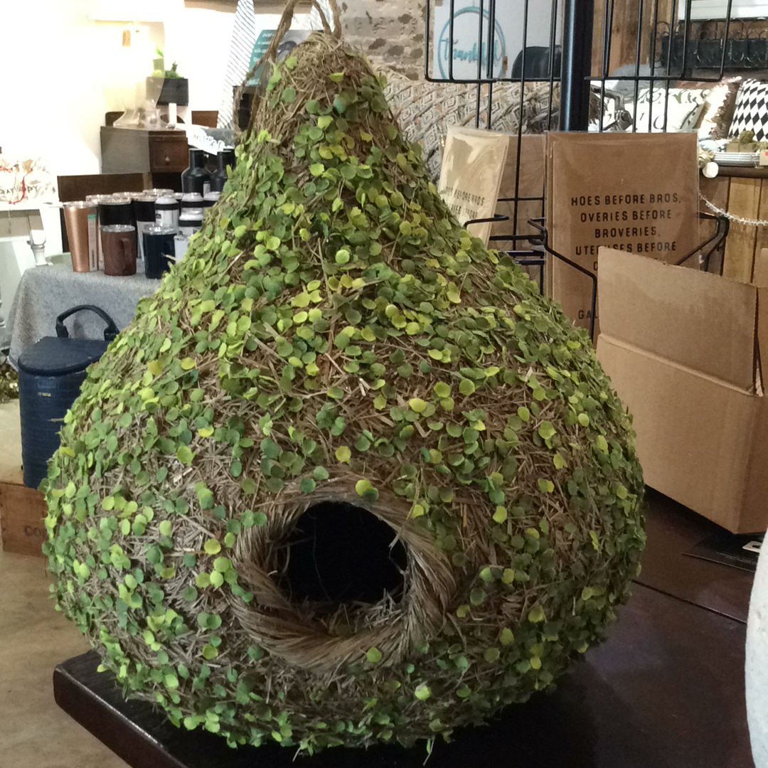 Hanging Bird’s Nest