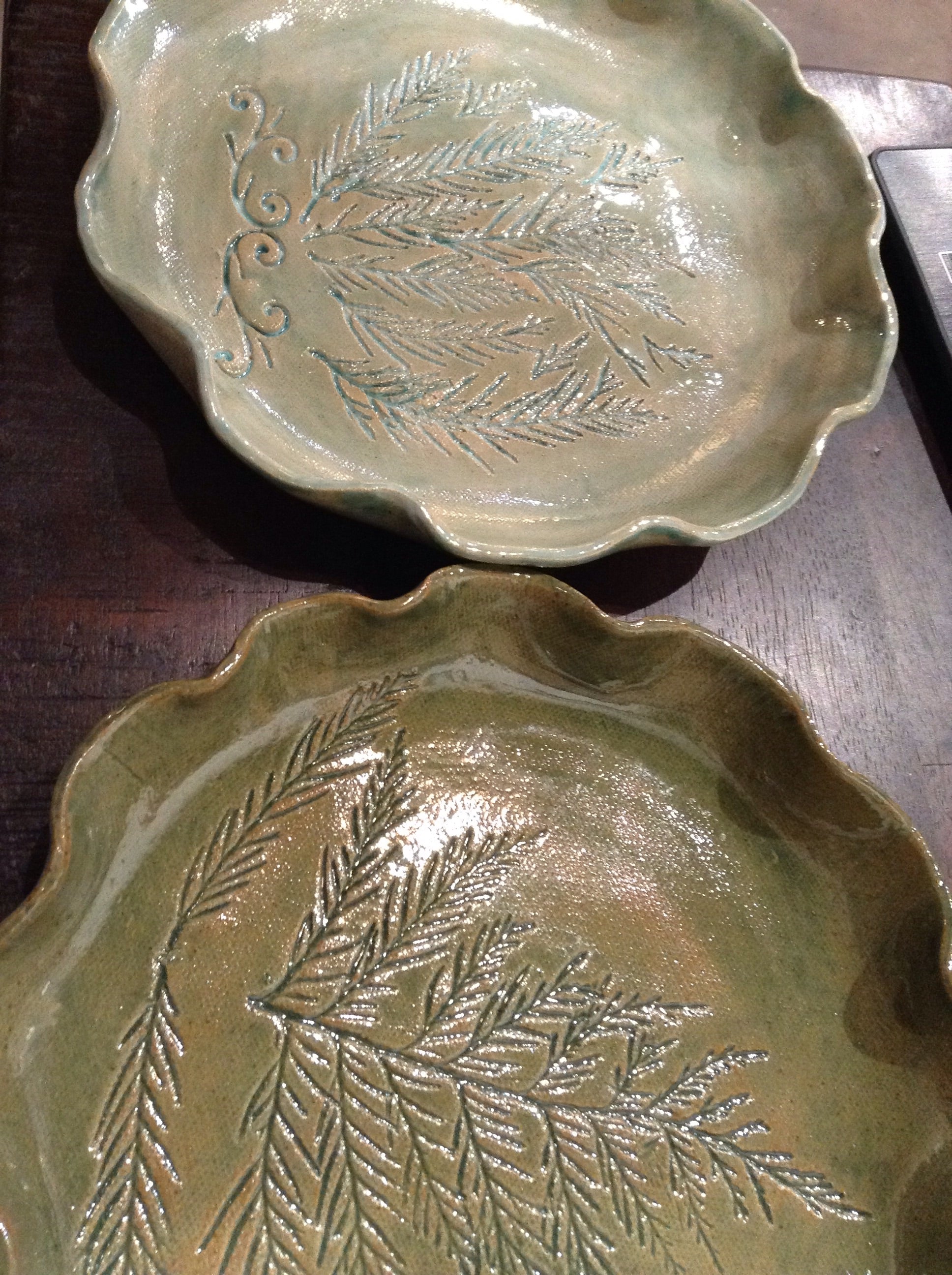 Round tray-fern